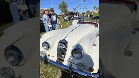 LUXURY CARS | Come with me to Concours in the Hills car show