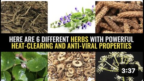 Here are 6 different herbs with powerful heat-clearing and anti-viral properties