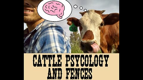 Cattle Psycology and Fences (Part 1)