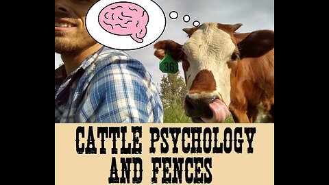 Cattle Psychology and Fences (Part 1)