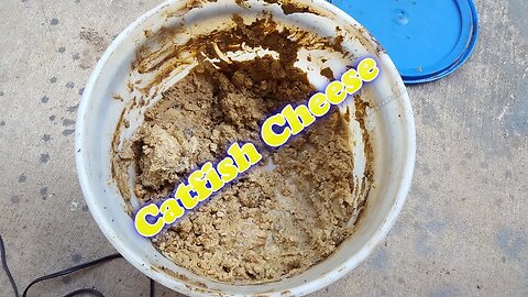 What is Catfish Cheese and DIY Catfish Cheese Punch Bait