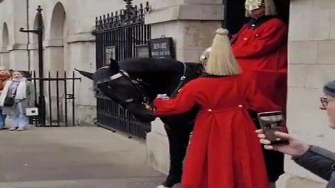 Horse bites the sleave of the kings guard #horseguardsparade