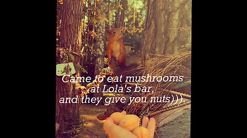 When you come to the forest, to Lola's bar, eat mushrooms, and they also give you nuts)).