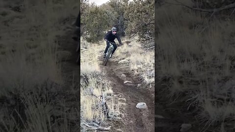 Sound up! Would this annoy you on the trail? #mtb #loamwolf #ytshort