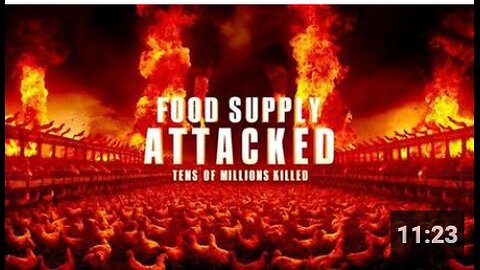 10s Of Millions Of Chickens KILLED By Governments As Attack On Food Supply Escalates More Genocide