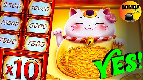 MEOW NICE! #Casino #LasVegas #SlotMachines