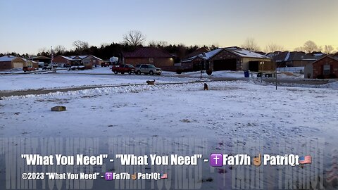 "What You Need" - ✝️Fa17h☝🏽PatriQt🇺🇸