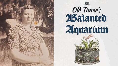 Old Timer's Balanced Aquarium || FOREVER AQUARIUMS || Father Fish