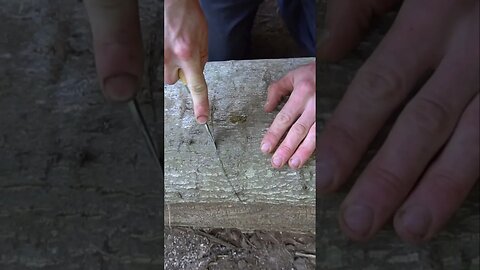 Making a Bark Basket in 10 Seconds! Bushcraft / Survival Skills