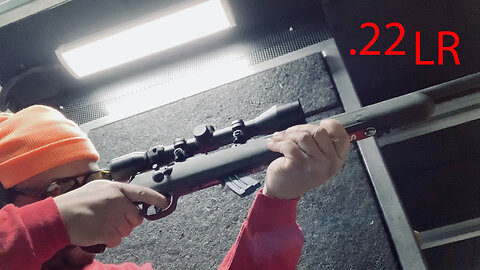 22LR semi auto VS. Bolt action M&P 15-22