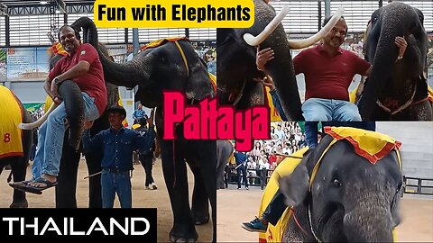 Having fun with Elephants , Thailand