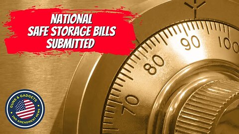 Lock Them Up! National Safe Storage Bills Submitted!