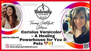 Cristin Ludlow & Coriolus Versicolor 🌿 – A Healing Powerhouse for You & Pets 🐶🐱!