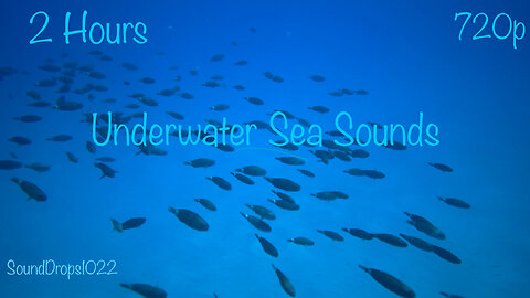 Obtain A Deep Focus With 2 Hours Of Underwater Sea Sounds