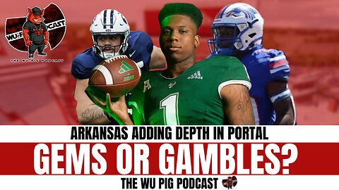 Arkansas Razorbacks' Transfer Portal Additions: Gems or Gambles?