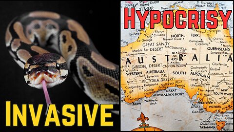 Ep. 4 |The Python Challenge & The Hypocrisy of Australia | Rumble Exclusive