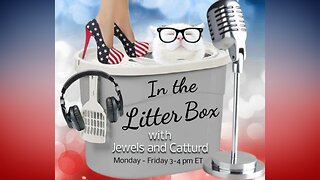 CIA & FBI Interfered In 2020 Election | In the Litter Box w/ Jewels & Catturd – Ep. 637 – 8/29/2024