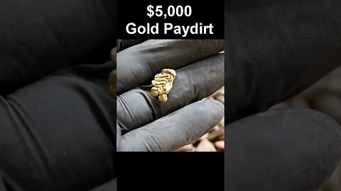 $5,000.00 Gold Paydirt