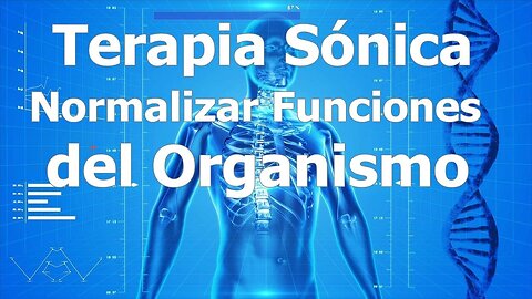 COMBINADO 62 NORMALIZAR LAS FUNCIONES DEL ORGANISMO