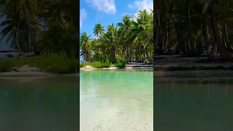 Paradise…WE found it again! #shorts #paradise #youtuber #frenchpolynesia #dream #subscribe #sailing