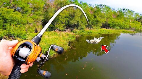 Fishing Challenge w/ NO BUDGET! (Winner Takes ALL!)