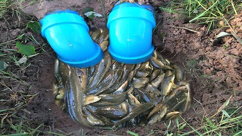 Awesome!! Smart Man Catch A Lot Of Fish By Creative Deep Hole Fish Trap With Plastic Pipes