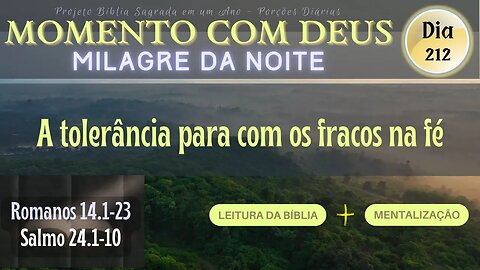 MOMENTO COM DEUS - MILAGRE DA NOITE - Dia 212/365 #biblia