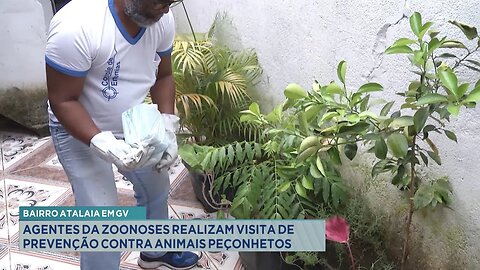 Bairro Atalaia em GV: Agentes da Zoonoses Realizam Visita de Prevenção contra Animais Peçonhentos.