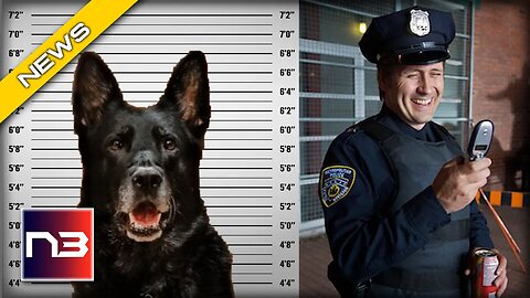 Outrageous! Mugshot of a K-9 Goes Viral After Stealing Officer's Lunch?