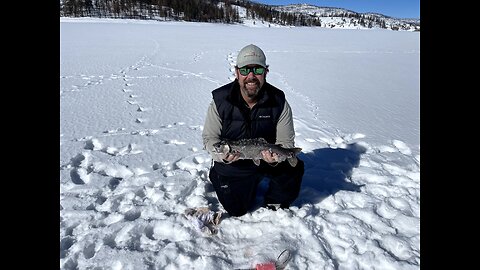 Pulling Rainbow Trout Out Off A Hole In Ice