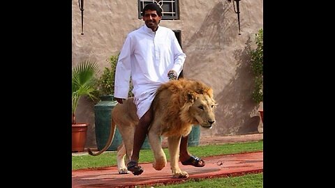 How Dubai's sheikh live royal life with Lion..