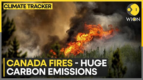 Canada now top four CO2 emitters in 2023 | WION Climate Tracker