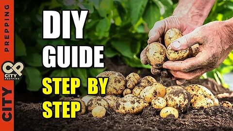 How to Build a Potato Tower