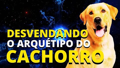 Desvendando o Arquétipo do Cachorro