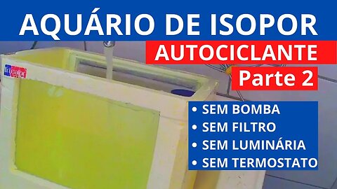 🔴 Aquário AUTOCICLANTE de ISOPOR DIY - Sem Filtro, Sem Termostato, Sem Luminária ( Parte2 )