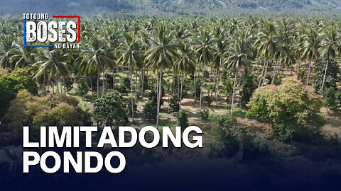 Limitadong pondo, hamon sa target na makapagtanim ng 100-M puno ng niyog —PSAC