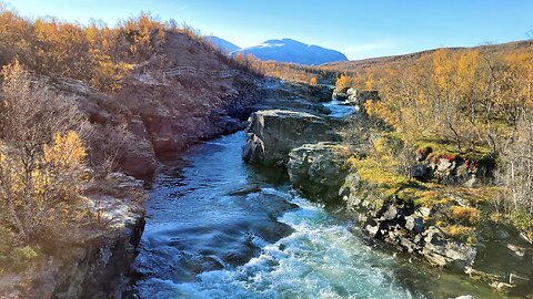 Autumn vibes in Abisko