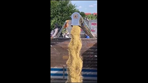 Thai farmers harvesting rice