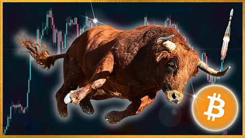 CRYPTO BULL RUN DECODED (2024)