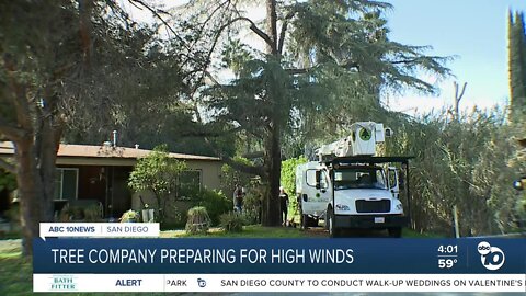 Arborists prepare for downed trees after wind advisory issued