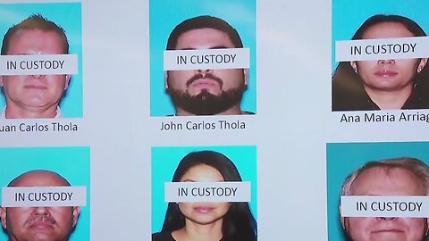 'Crime tourism ring' busted in LA also operated in Illinois