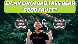 Rabbit Hole Roundup 44: CAN A BAD TREE BEAR GOOD FRUIT? | Highlight The Good People, Woj Steps Down