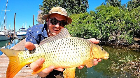 BOAT CAMPING & Sight Fishing for MONSTERS!!! (Engine Trouble...)