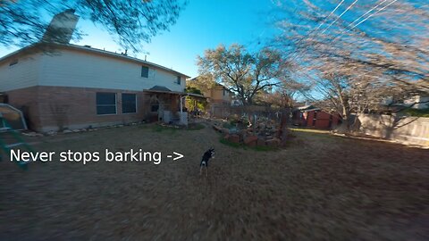 02/11/23, Helping train neighbor's dog that NEVER stop barking... Vannystyle Freestyle FPV