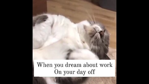 When You Dream About Work On Your Day Off