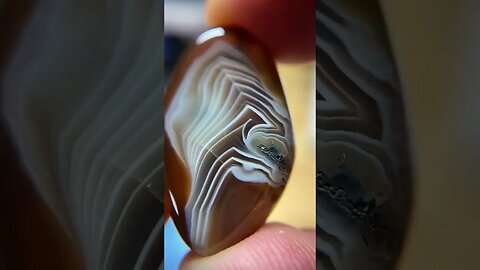 Stunning agate [MACRO]