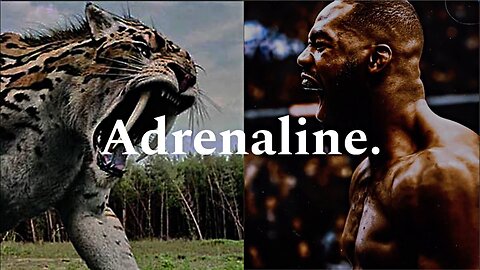 Adrenaline