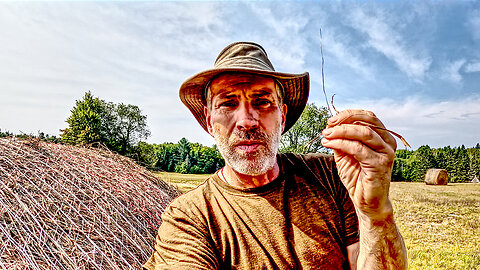 Building Soil to Regenerate an Old Pasture with Hay