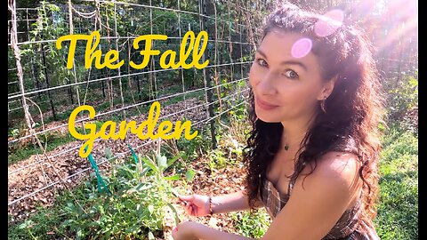 Plants you Can Grow in the Fall/Winter Garden