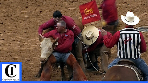 Wild Cow Milking - 2021 Coors Cowboy Club Ranch Rodeo | Saturday